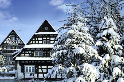 winter-sasbachwalden